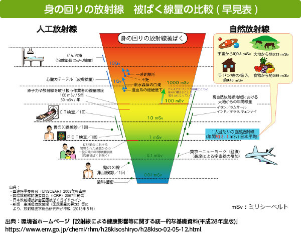 画像：身の回りの放射線　被ばく線量の比較（早見表）