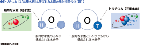 画像：「トリチウム」は「三重水素」と呼ばれる水素の放射性同位体（図1）