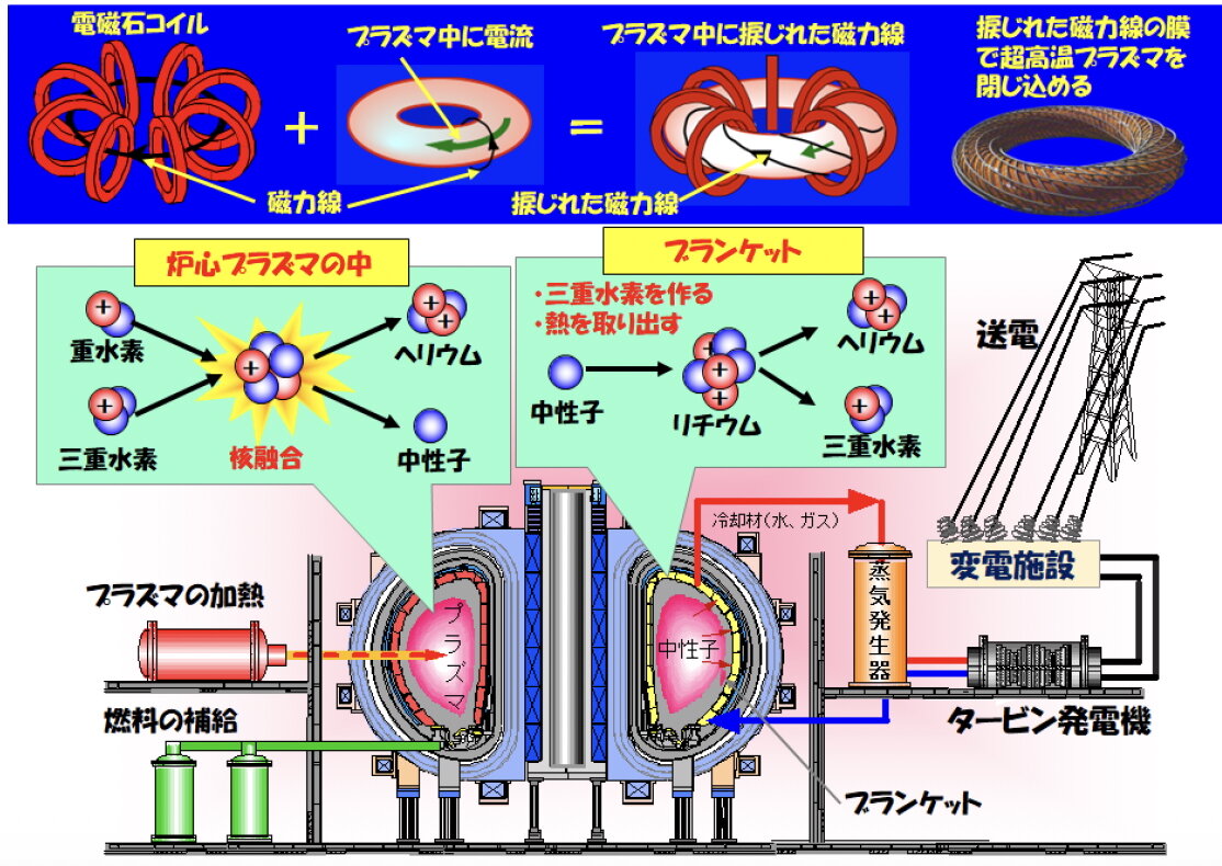 画像：トカマク型核融合発電炉の仕組み